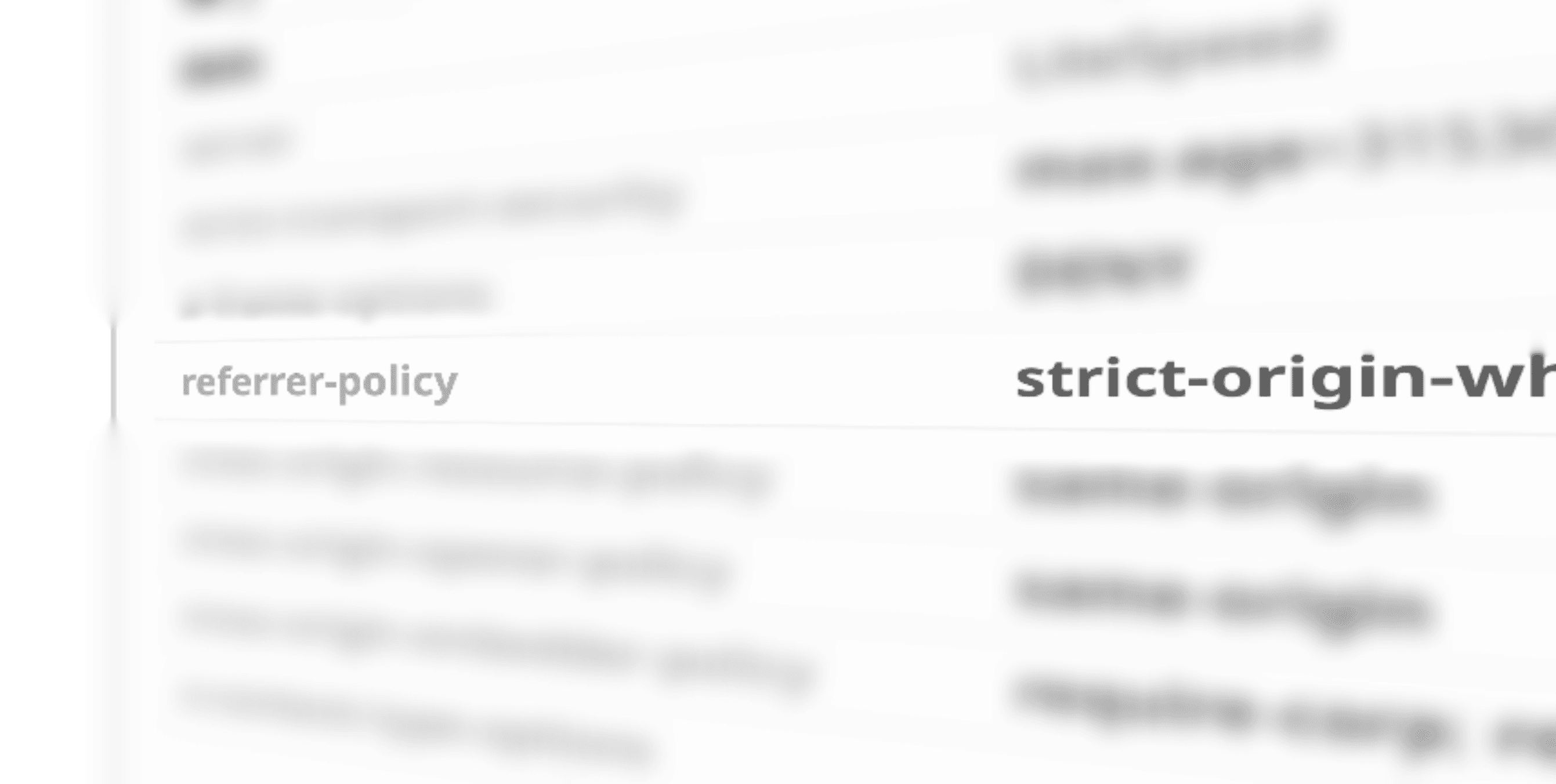 referrer-policy